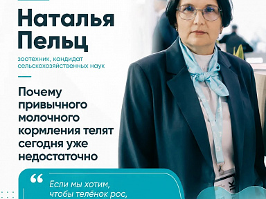 Почему привычного молочного кормления телят сегодня уже недостаточно?